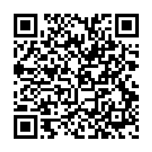 都化作一个个小光团不断在虚空宝塔内缓缓飞行二维码生成