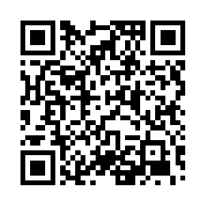 都化作翩翩起舞的蝴蝶和万花筒的碎片二维码生成