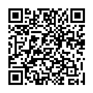 都只用了很短暂的时间就从第一类秘书变成了第二类秘书二维码生成