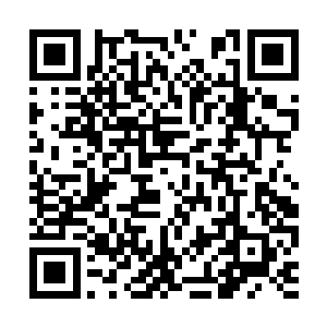 都只能眼睁睁看着罗林手中的剑影不断地接近战魔二维码生成