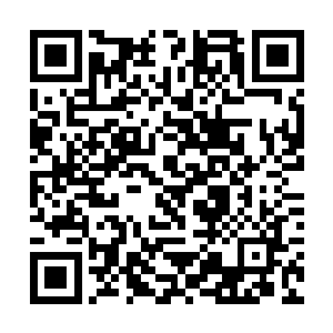 都可以轻易的依靠传承在他们的宇宙成就伟大的存在二维码生成