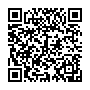 都可以逐步从蜀生公司以最优惠的价格买到最新的高产麦种二维码生成