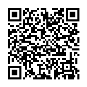 都吃过引狼入室之苦的单娆和林琳同时目光闪动二维码生成