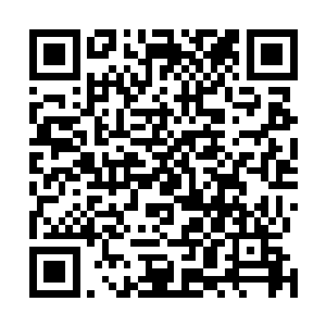 都听说这一届新生中有一个随身携带十枚天雷地火的狠人二维码生成