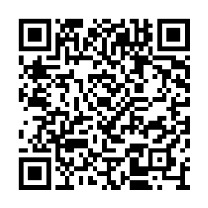 都和之前自己遇到的那群狼的头狼一般的大小了二维码生成