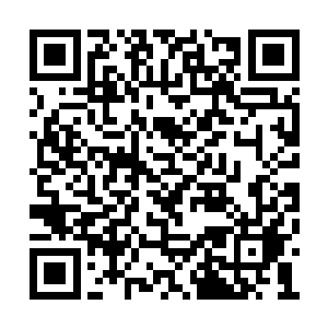 都在养分和能量循环系统被切断的刹那死于非命二维码生成