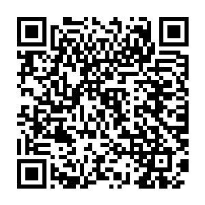 都在刹那间全部从府或是宫殿当中向着传送阵的竞技台之处疾驰而来二维码生成