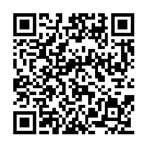 都在孜孜不倦的试图了解和追查这个世界的真相二维码生成