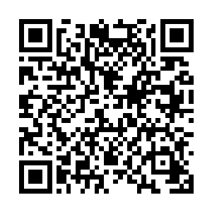 都在心中升腾起了一股想要取李思辰代之的念头来二维码生成
