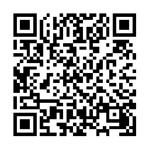 都在怀疑这和平域中怕是隐藏着什么不为人知的秘密二维码生成