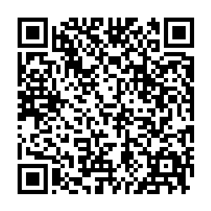 都在等他们混乱攻城或者跟里面的人应战时再出手攻击……只可惜二维码生成