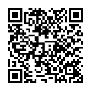 都在等着看林烽究竟是不是有办法安然无恙的进去二维码生成