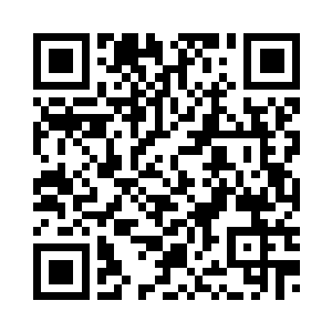 都安安静静的仿佛对方不存在一样二维码生成