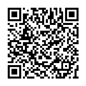 都寄托在王伦真是传闻中那般大仁大义之人身上二维码生成