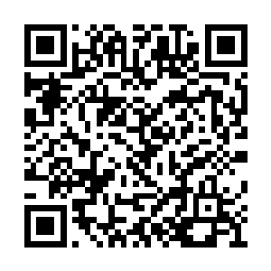 都对李思辰作出的这一决定感到震惊和不可思议二维码生成