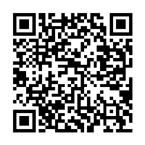 都对那些强行把自己拉去的亲人或朋友投去了感激的目光二维码生成