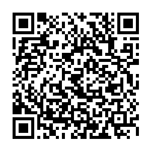 都将决定最终诞生的智慧生命究竟是何等稀奇古怪或者睿智和强悍的模样二维码生成