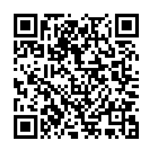 都已经对爱情和异性充满了朦胧的憧憬和爱恋了吧二维码生成