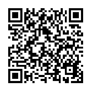 都希望山主大人能把自己麾下的蓝玉门弟子给调走二维码生成