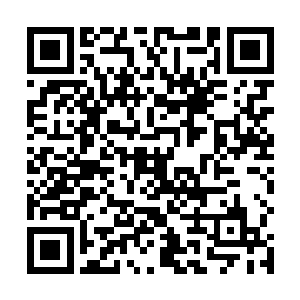 都希望看到他笔下的主人公修炼出绝世武功吊打全世界二维码生成