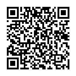 都强自忍耐没有出手――师兄一个人驱动不了真君舰二维码生成