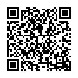 都心悦诚服地承认那个人是雨瀑星上的第一炼丹师二维码生成