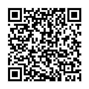 都必须仔细考虑一下得罪了一位辉月巫师战力的后果二维码生成