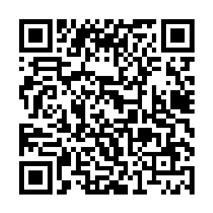 都必须在我们玄学界的力量掌握之下才能够成功统治二维码生成