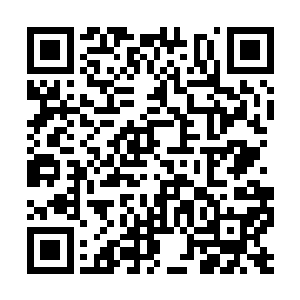 都怀疑以前在南市机场碰上的她到底是不是本人了二维码生成