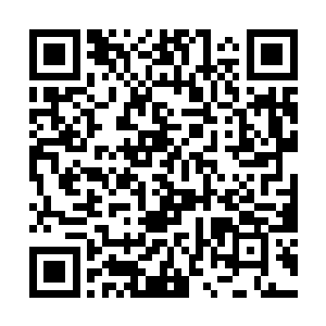 都恨不得立刻就看到他被田海明打的满口吐血的样子二维码生成