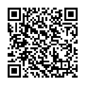 都恭恭敬敬的朝着那端坐在宝座上的承元道君行礼道二维码生成