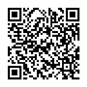 都想看看这个新来的家伙怎么能在这么短时间破案二维码生成