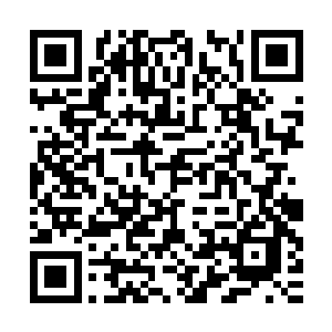 都想要调查清楚这华能集团真正的幕后究竟有多少的董事会议员二维码生成
