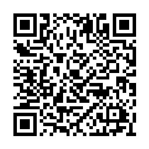 都愿意多花费一些时间在绝世境的层次铸就根基二维码生成