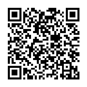 都愿意看到初中的小学弟们也像当初他们一样组织起来二维码生成