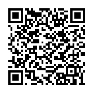 都打算要带着萌萌去深山老林里面寻找一些灵物二维码生成