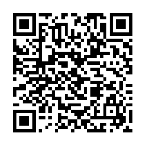 都找不到任何一支军队可以与平天神国的神禁军抗衡二维码生成