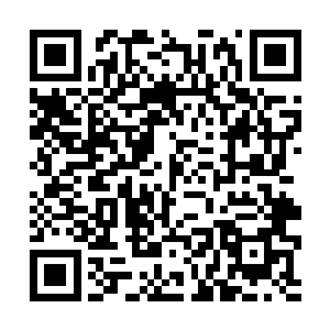 都散发着不同程度的威压……在周遭这诡异的环境中二维码生成