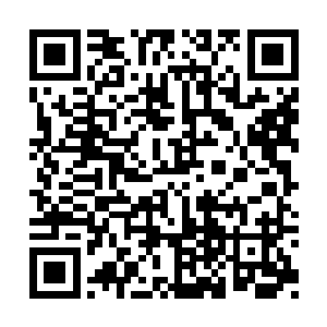 都散开分头跑回林子里这些怪物跑不进林子……二维码生成