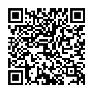 都是一家人哪里还有化不开的仇……你祖母和二伯母家住东跨院二维码生成