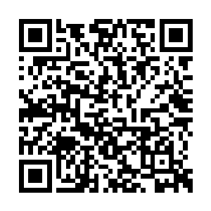 都是人工条件支配或控制了自然条件的一种环境二维码生成