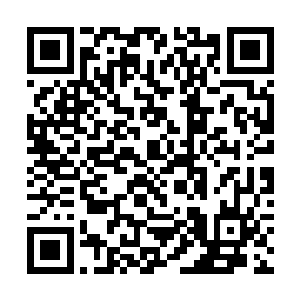 都是从那盆和草野富江一起陪葬的剑兰中生长出来的二维码生成