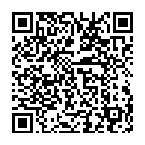 都是他在与掉入他陷阱之中的魔族的大地骑士战斗之中留下的伤口二维码生成