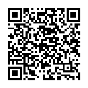 都是他把小柱子从小小的一点儿一点一点的养大的二维码生成
