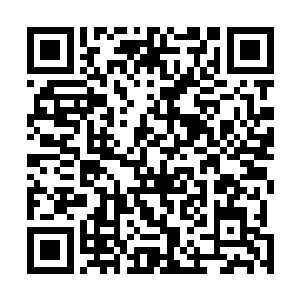 都是代表自己的主子希望能把剑尘请到各自的家族中做客二维码生成