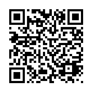 都是任志华他们提前就做好的身份二维码生成