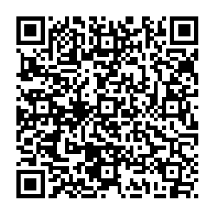 都是兄弟两人利用当年远古地精覆灭时留下的念头辛辛苦苦经营培养了不知道多少年二维码生成