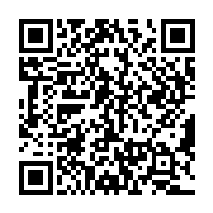 都是刺在这两个倒霉鬼颈项之间的一处非常致命的死穴上二维码生成