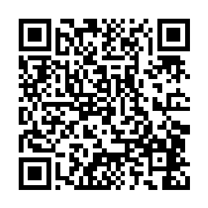 都是各大势力的带队之人和灵泉宫的宫主和护法二维码生成