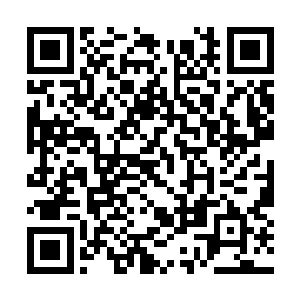 都是后世有良心的青年历史学家才听得见…………二维码生成